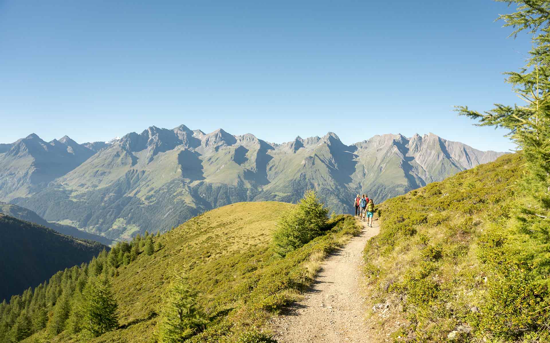 virgental_sommer_messnerhof