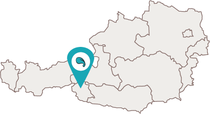 karte oesterreich messnerhof virgen