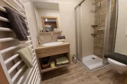 Mesnerhof_Virgen_-_Ferienwohnung_Blick_Ruine_Rabenstein_8