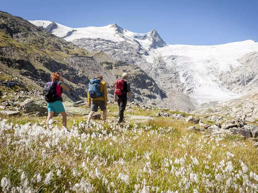 Wanderung mit Ranger ins Innergschlöss zum Großvenediger im Nationalpark Hohe Tauern.
