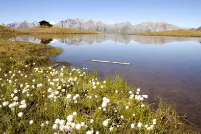 Virgental_TVB-Osttirol_Lugger-Martin_Virgen-in-Osttirol
