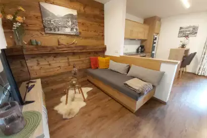 Mesnerhof-Virgen---Ferienwohnung-Blick-Ruine-Rabenstein-5